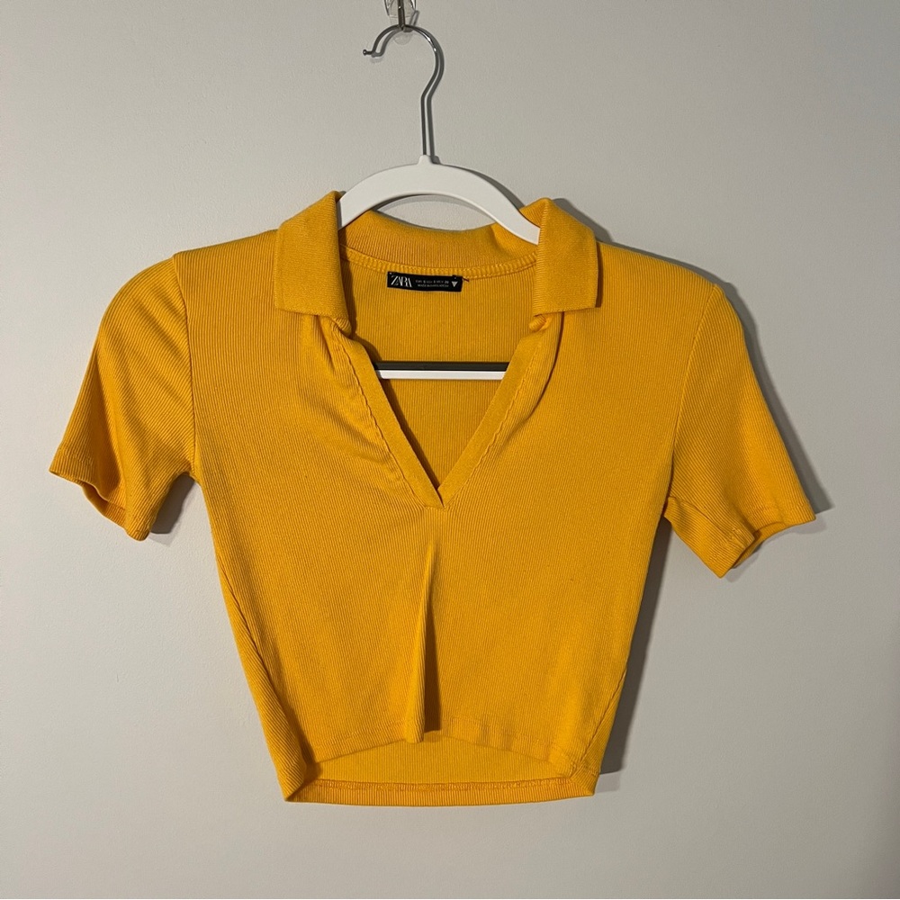 Zara crop top